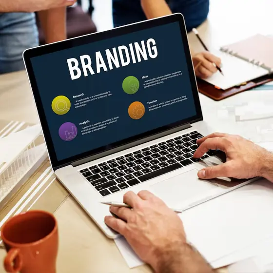<h3>Branding</h3>