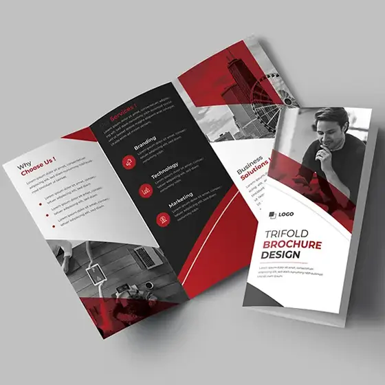 <h3>Flyer Designs</h3>