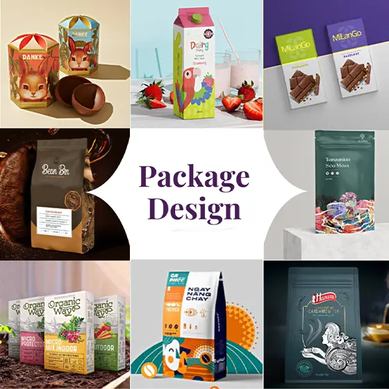 <h3>Package Designs</h3>