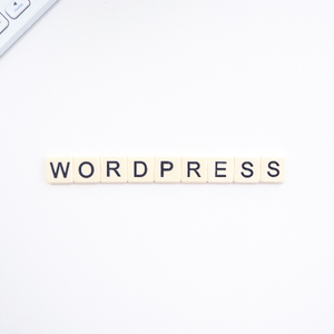 <h3>WordPress</h3>