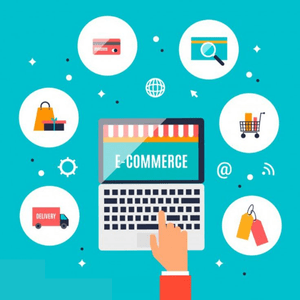 <h3>Ecommerce</h3>